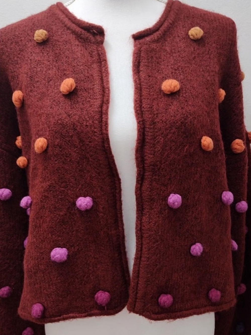 FARM Rio Burgundy Pom-Pom Teddy Jacket with Multicolor Accents - Picture 3 of 4